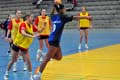 Handballtitel.jpg