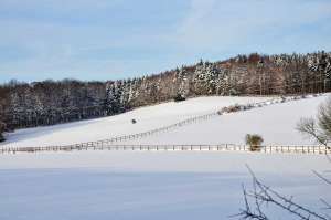 winter2010.jpg