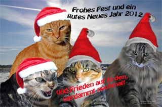 weihnacht2011web2.jpg