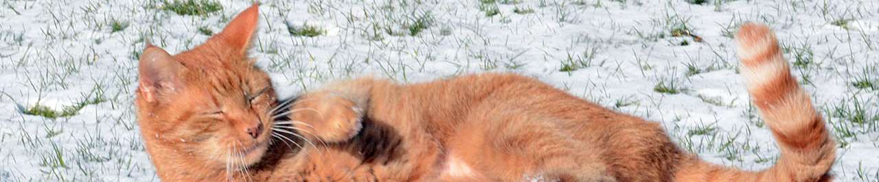 Klicken um die Schaltflächen oben zu zeigen oder zu verbergen