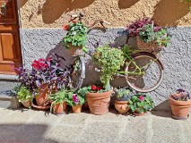 22: 120240421_155342_1920