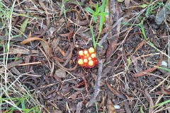 66: 120240423_114217_1920