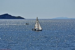 14: 1DSC_8472_1920