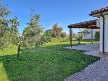 36: 120240421_083549_1920