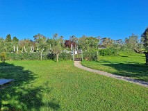 37: 120240421_083637_1920