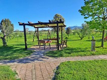 38: 120240421_083644_1920