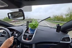 2: 120240419_120227_1920