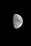 13: 1D51_8421_1920