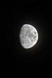 18: 1D51_8542_1920