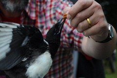 11: 1_DSC_1105_w1200