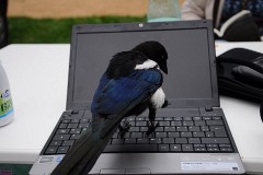 12: 1_DSC_1116_w1200