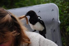 16: 1_DSC_1124_w1200