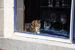 37: 1_DSC_1198_w1200