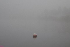 43: 1_DSC_1241_w1200