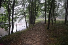 53: 1_DSC_1252_w1200