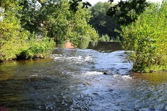 26: 1_DSC_1316_w1200