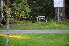 24: 1_DSC_1382_w1200