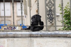 26: 1_DSC_1387_w1200