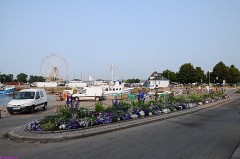 12: 1_DSC_3932_lores