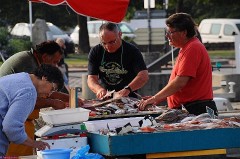 26: 1_DSC_3968_lores