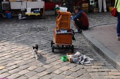 33: 1_DSC_3992_lores