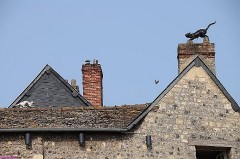 42: 1_DSC_4020_lores