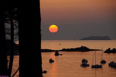 12: 1_DSC_4060_lores