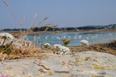 18: 1_DSC_4090_lores