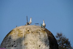 19: 1_DSC_4100_lores