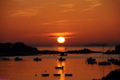 25: 1_DSC_4115_lores