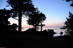 27: 1_DSC_4124_lores