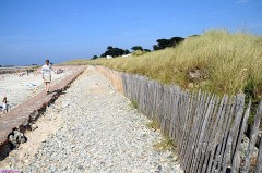 31: 1_DSC_4281_lores