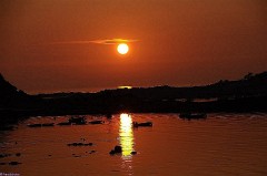 35: 1_DSC_4311_lores