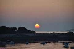 37: 1_DSC_4376_lores