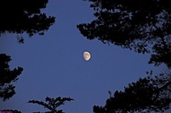 39: 1_DSC_4388_lores