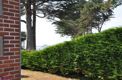 44: 1_DSC_4423_lores