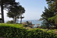 45: 1_DSC_4426_lores