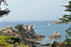 46: 1_DSC_4427_lores