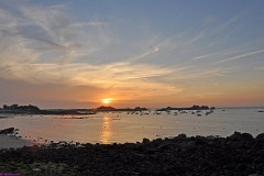 47: 1_DSC_4443_lores