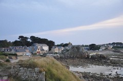 49: 1_DSC_4446_lores