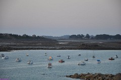 50: 1_DSC_4447_lores