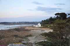 51: 1_DSC_4450_lores