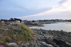 52: 1_DSC_4453_lores