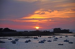 53: 1_DSC_4462_lores