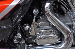 20: 1_DSC_4759_lores