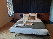 10: 120210827_174914_1920