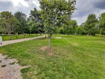 4: 120210823_154323_1920