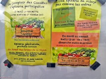 7: 120210823_182729_1920