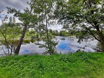 51: 120210822_123019_1920