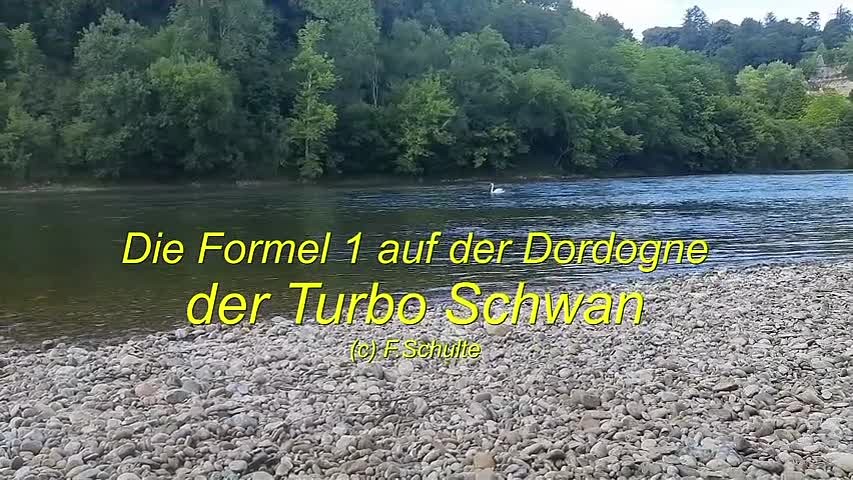 189: Turbo_Schwan_2022-06-27